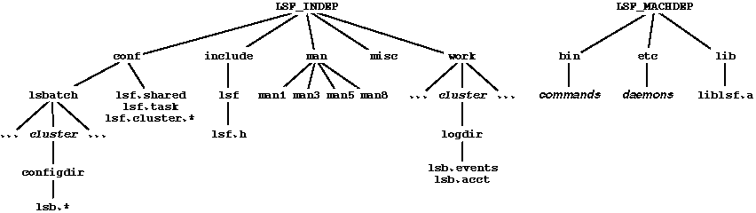 LSF Directory Structure